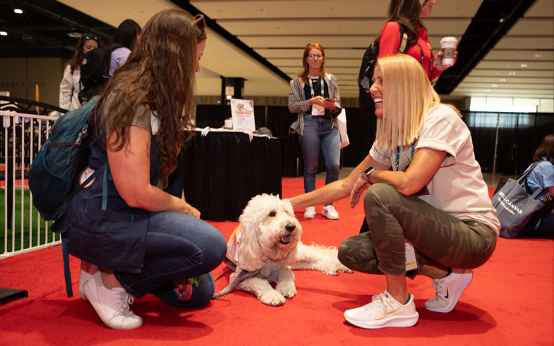 Best of Chicago 2025